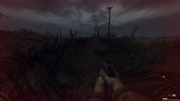 ssq-user-02-12-25-19-45-47-marsh.png