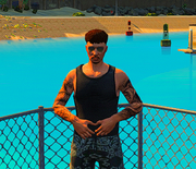 Emote Pause police