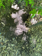 IMG_20240503_132336_575