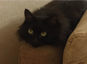 Безымянный33