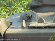 IMG-8795