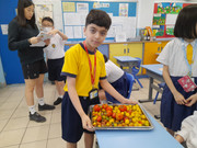 f6557162-e60c-4388-be92-842a9ec9a3f2