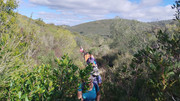 26-08022025