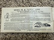 Pamphlet017