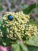 IMG-20190424-130534