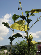 photo 13 2025 12 24 16 22 41