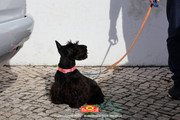 IMG-0282