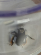 IMG 20260326 231129012 HDR PORTRAIT