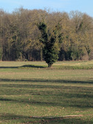 PXL 20260207 095018792