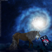 R4T2-Orange Lightfoot