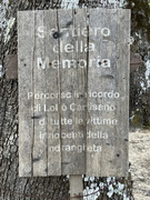 IMG-1847
