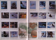 IMG-0010