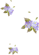 0-1c1490-c2547cff-orig