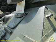 IMG-5518
