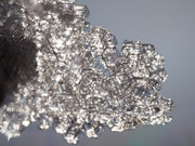 DSC01781-crop