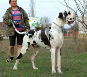 Buba1