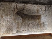 Ленивый Египет (Хургада, Луксор, Каир), декабрь 2025 - январь 2026