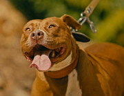 Screenshot_20230710_170407_Gallery