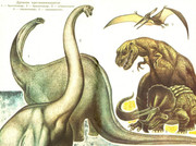 https://i.postimg.cc/BP3ghV5y/Apatosaurus-group-2-I.jpg