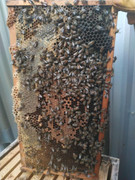 photo_2020-06-16_07-17-30