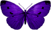 MVDLavender-Love-042