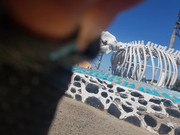 244991923_846586962682509_7537193630226860399_n