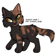 mackerel tabby tortoiseshell
