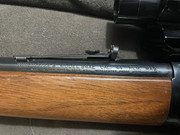 9A34A62A-EDF1-4FF2-A856-F75956BEB71A