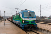 IMG-1535