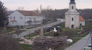 Kép