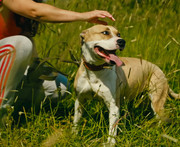 Screenshot_20230627_234100_Gallery