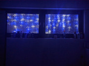 IMG_20211224_234819_tigr