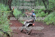 IMG-6593