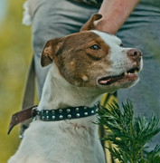 Screenshot_20230626_222956_Gallery