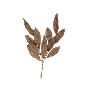 Country-Christmas-Kit-27