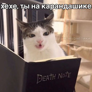 26a96fd8eea0ca29114515d624d3c779.jpg