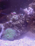 e9d8db9a 6a3d 4bf7 b033 61f2bde177e0