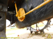 DSCN9084