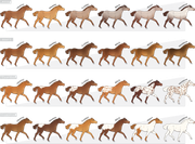 GDD-Pattern2
