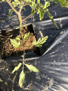 257C9182-CC56-455D-9740-240C3985C672