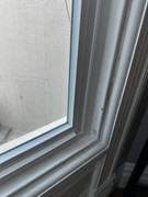IMG-4163