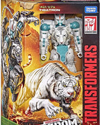 244013942-5225912734089910-3716964421553724383-n