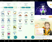 Polish 20260329 131412533