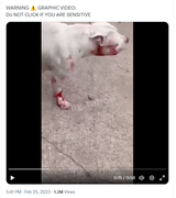 Screenshot Capture - 2023-09-16 - 02-46-24