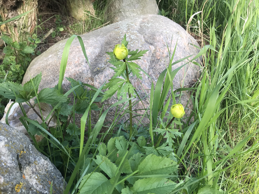 B47D49AF-BBED-4B5B-835F-00FD38C1E6E4