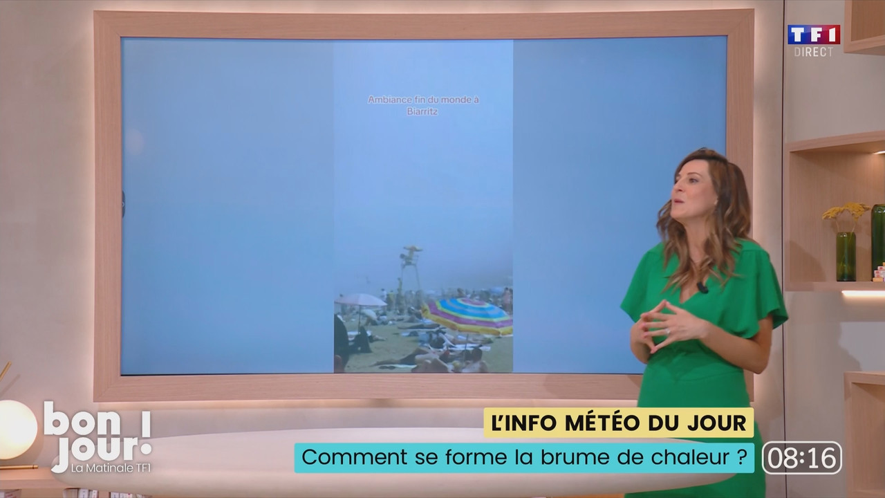 Bonjour Daniela TF1 310724.mp4_snapshot_01.26.56.020