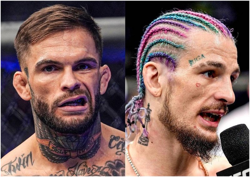 Коди Гарбрандт иска да срита задника на Шон О&#039;Мали