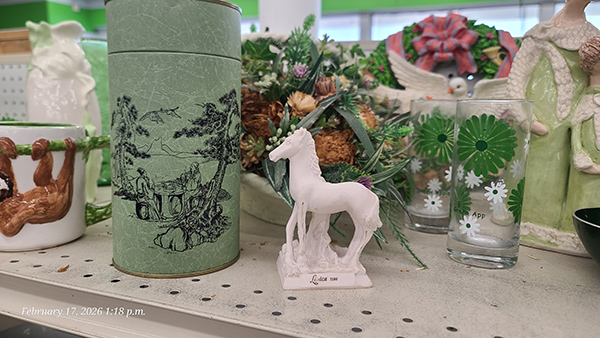 [Image: 20260217-131808.jpg]