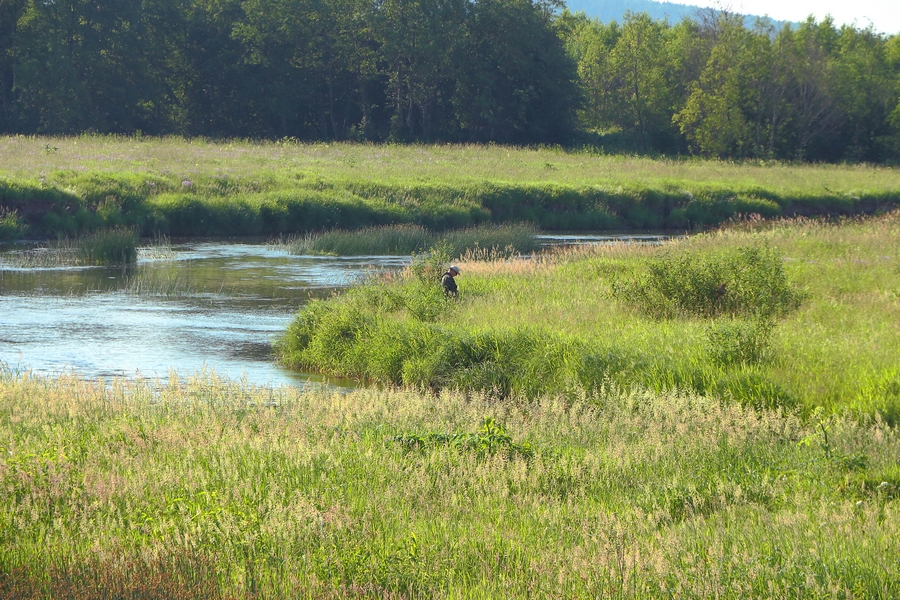 IMG_5724 (Копировать)