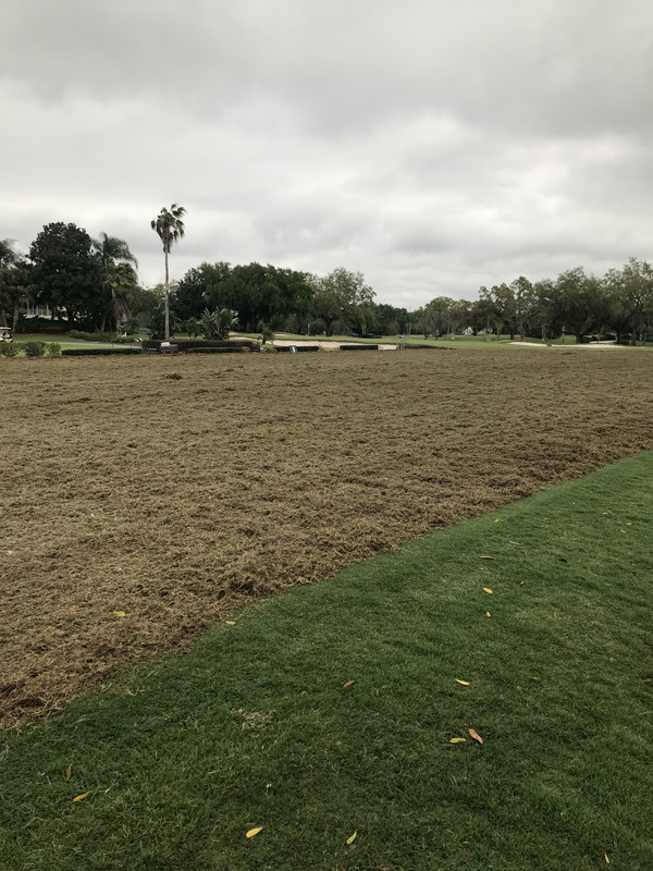 BB54A855-C108-4B6E-8530-DF6A7EBC2267